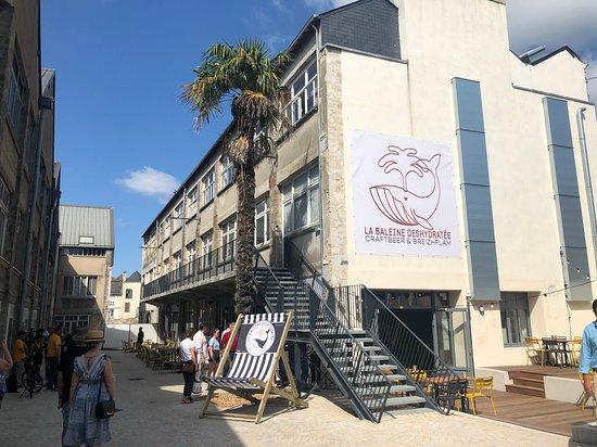 La Baleine Deshydratee Quimper